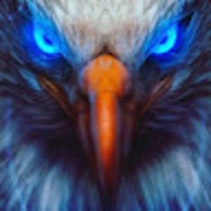 Meet your Posher, Abel